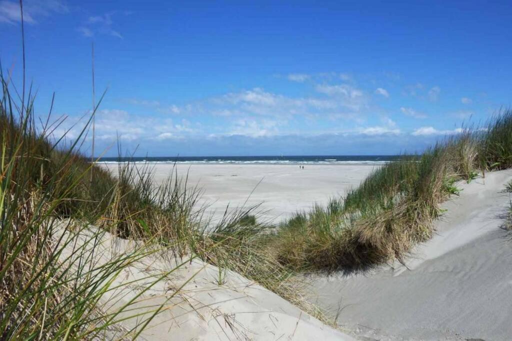 The Cottage - 2 Persoons Cottage Nabij Strand En Meer Zonnemaire Eksteriør billede